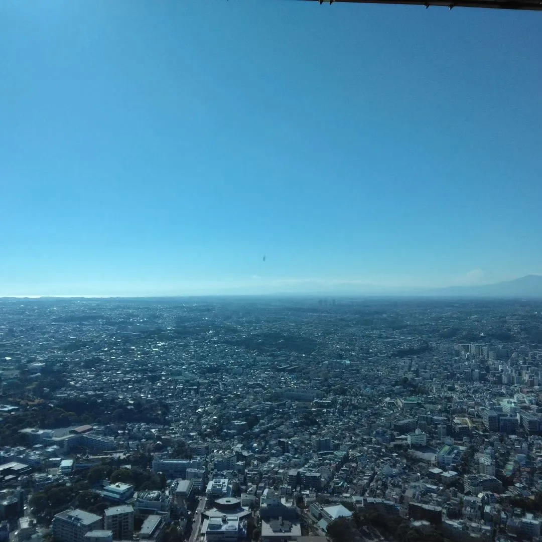 日常を空から眺める時間🗼