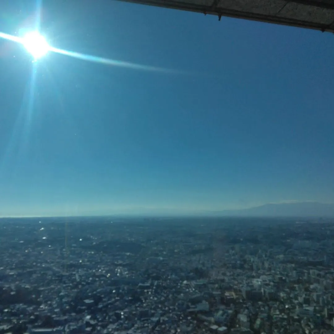 日常を空から眺める時間🗼